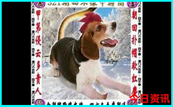 云南市区旅游必去的景点